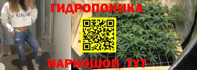 прущие грибы Сланцы