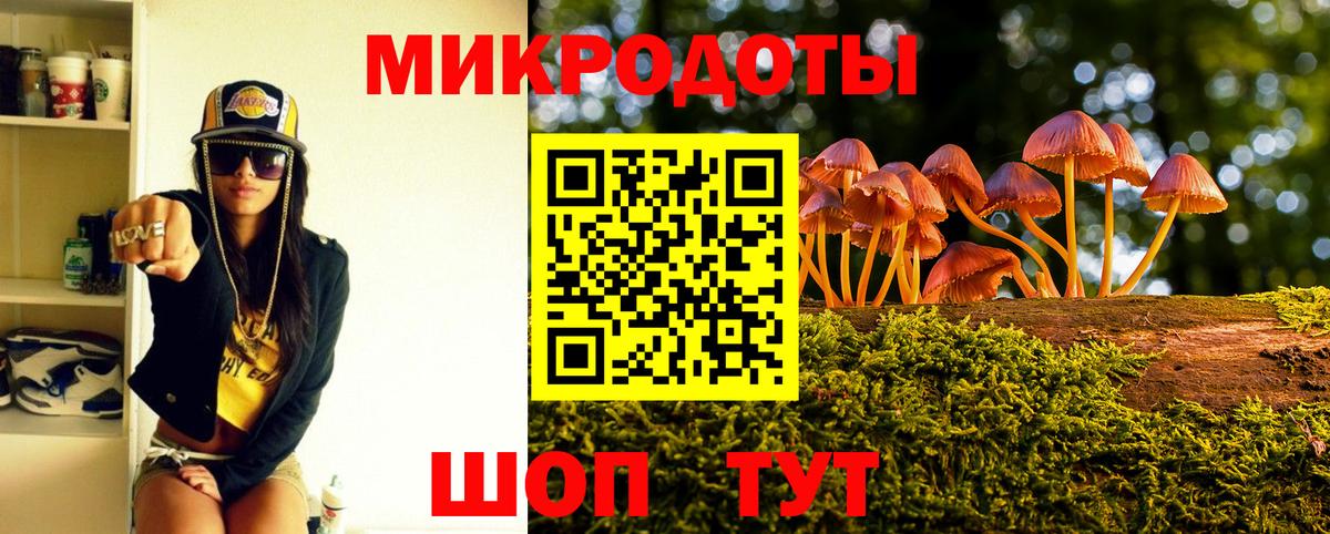 Междуреченск  Псилоцибиновые грибы прущие грибы  Вход с VPN 